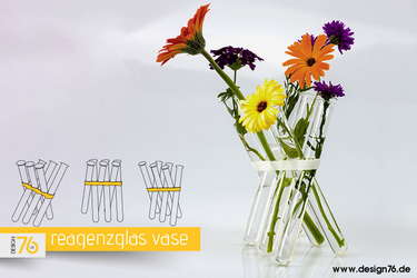 Design Vase mit Reagenzgläser